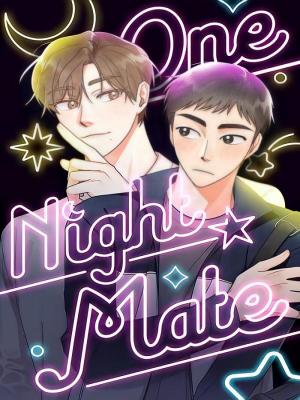 One Night Mate