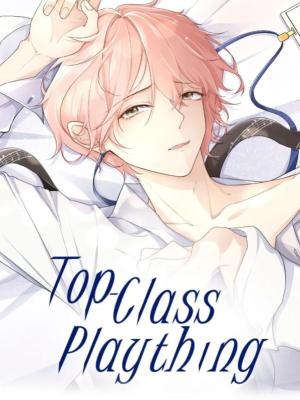Top-Class Plaything